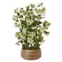 Large Green Hellebore in Taupe Pot by Hill Interiors | Style Our Home  