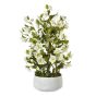 Large White Hellebore In Grey Pot by Hill Interiors | Style Our Home  