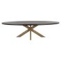 Watson Black 235cm Dining Table Incl. Spider Leg Gold