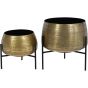 Harri Tabletop Brass Set of 2 Planters by Ora Designs | Style Our Home