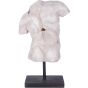 Male Torso on Stand  by Libra Designs | Style Our Home