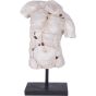 Male Torso on Stand  by Libra Designs | Style Our Home