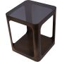 Thorn Square Metal and Glass Side Table