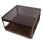 Thorn Metal and Glass Square Coffee Table