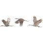 Crane Trio Cast Aluminium Wall Art