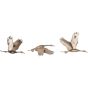 Crane Trio Cast Aluminium Wall Art