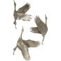 Crane Trio Cast Aluminium Wall Art by Ora Designs | Style Our Home
