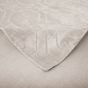 Flynn Ivory 200x300 Rug