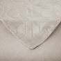 Flynn Ivory 300x400 Rug