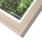 Forest Light Framed Canvas  by Gallery Living | Style Our Home
