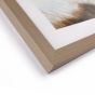 Beyond the Dunes Framed Art  by Gallery Living | Style Our Home