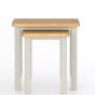 Arlyn Painted Nest of 2 Tables by Hertiance Furniture | Style Our Home