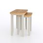 Arlyn Painted Nest of 2 Tables by Hertiance Furniture | Style Our Home