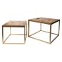 New Island Coffee Tables (Set of 2)