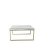 Pippard Champagne Coffee Table  - Style Our Home
