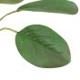 Faux Stem Statement Tropical Ivory  (12pk)