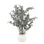 Faux Eucalyptus in Ceramic Pot Ivory by Gallery Living | Style Our Home