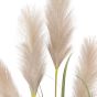 Potted Grass with Pampas Seed Heads (5pk) 