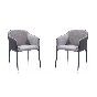 Salcita Armchair - Set of 2 - Grey by Tommy Franks | Style Our Home