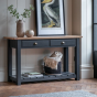 Manor Meteor 2 Drawer Console by Hudson Living | Style Our Home 