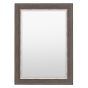 Hanwell Petwer Rectangle Mirror by Gallery Living | Style Our Home