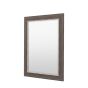 Hanwell Petwer Rectangle Mirror