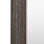 Hanwell Petwer Rectangle Mirror
