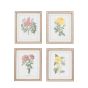 Floral Quartet Framed Art Set of 4 by Gallery Living | Style Our Home