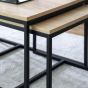 Warren Nesting Coffee Table by Hudson Living | Style Our Home