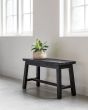 Trinity Black Bench