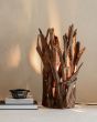 Spot Table Lamp