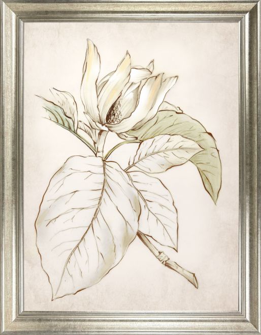 Botanical II by Camelot Pictures | Style Our Home