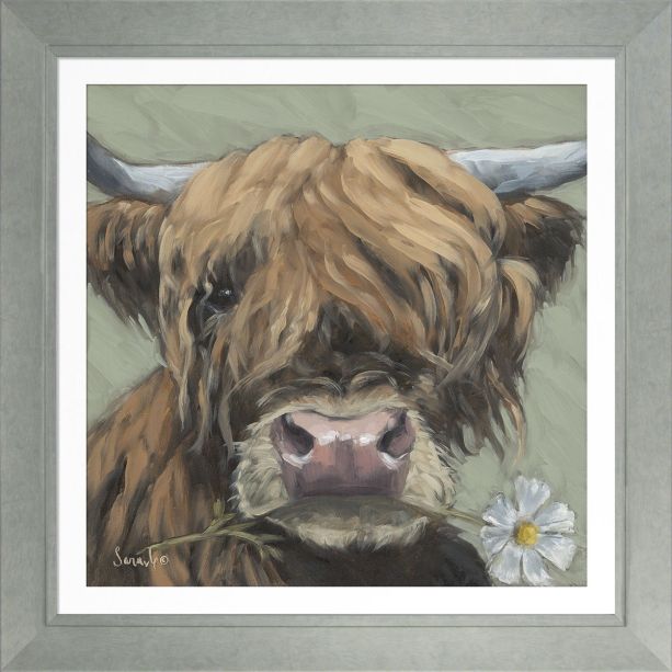 Daisy by Camelot Pictures | Style Our Home
