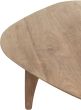 Bliss Pebble Teak Coffee Table, Set of 2
