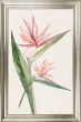 Tropical Grace I by Camelot Pictures | Style Our Home