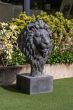 Lion by Monologue | Style Our Home