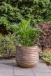 Ribbed Pot - Soft Brown