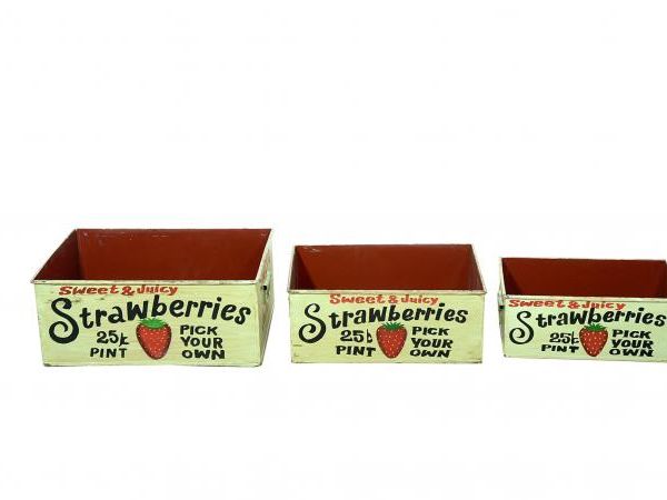 Set of 3 Metal Strawberry Trays by Quirky Barn | Style Our Home