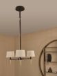 Stella 3 Light Pendant with Shades