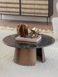 Newton Crescent Coffee Table