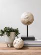 Ball Cheese Stone Object