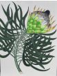 Protea by Monologue | Style Our Home
