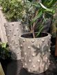 Spiky Pot - Set of 2 by Monologue | Style Our Home