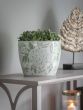 Laura Ashley Green Porcelain Planter Medium by Ora Designs | Style Our Home