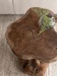 Mushroom Natural Stool