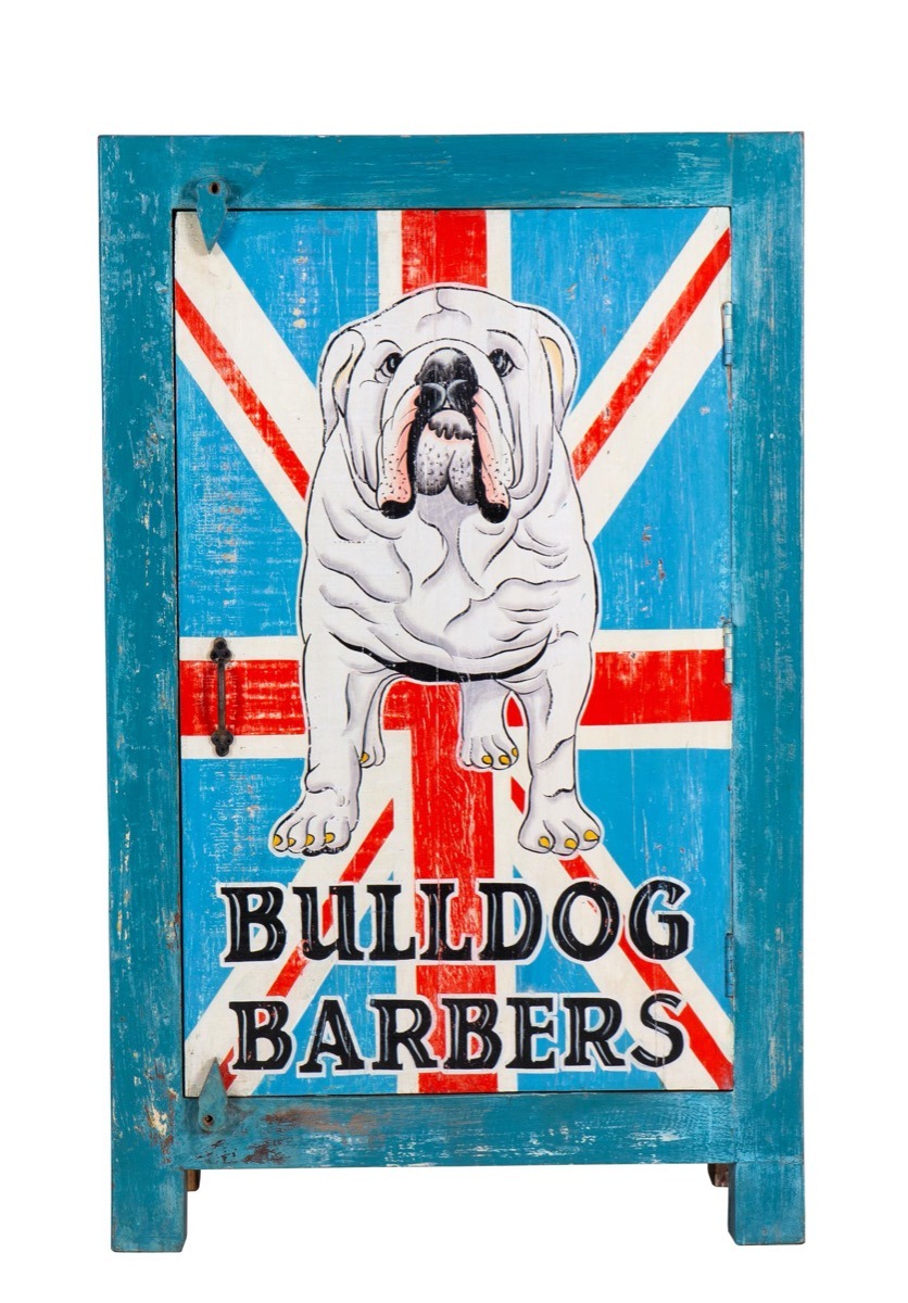 Carnival Hand Painted British Bulldog Narrow 1 Door Cabinet | Style Our Home