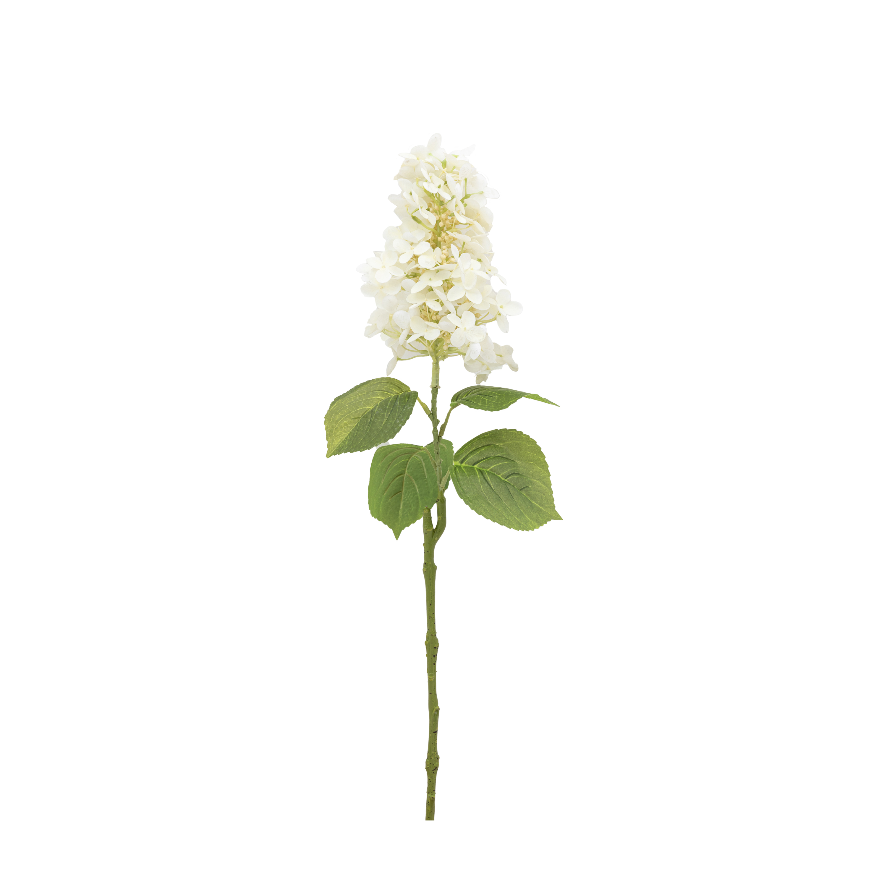 Vintage Cone Hydrangea Floral Stem Ivory (12pk) by Gallery Living | Style Our Home