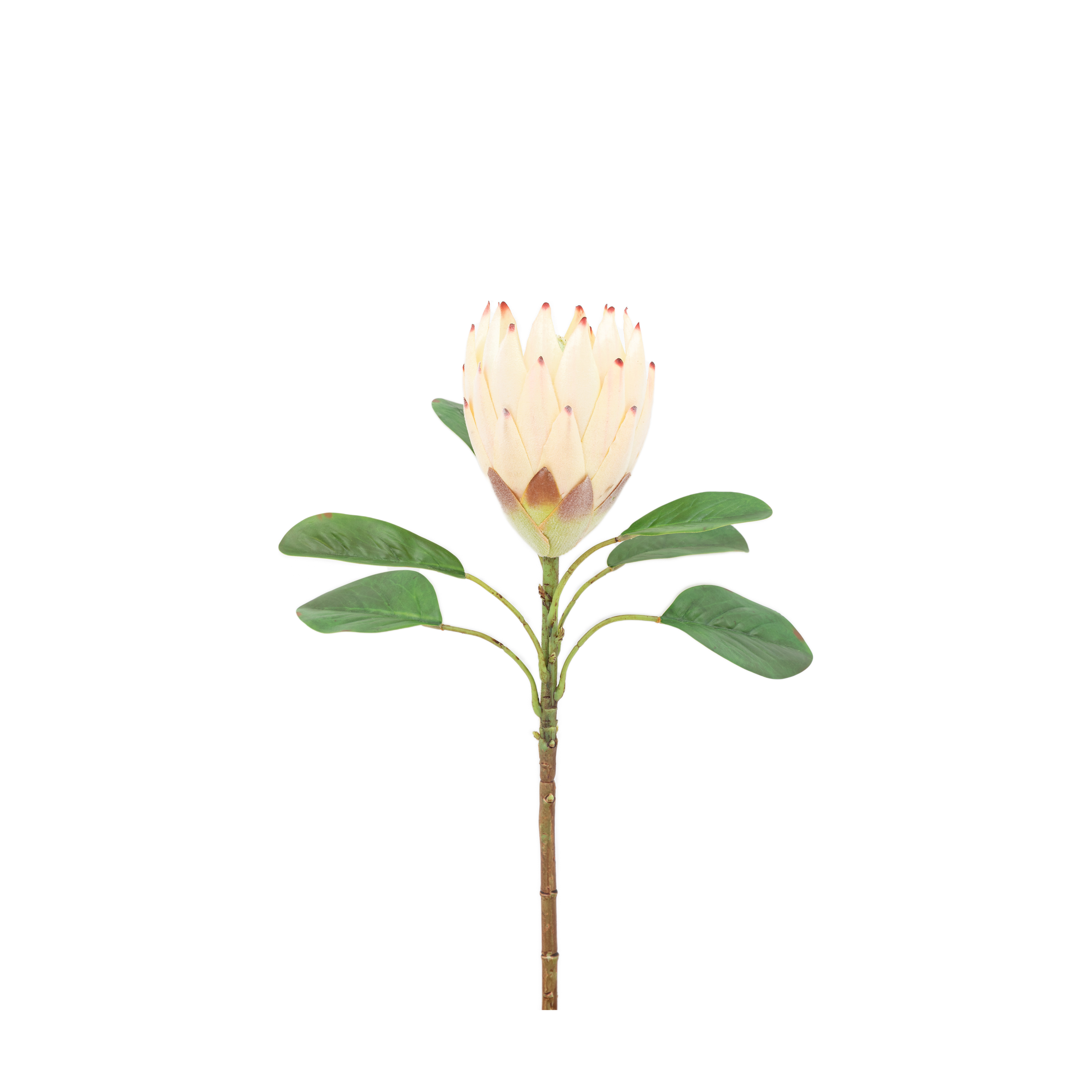 Faux Stem Statement Tropical Ivory (12pk) by Gallery Living | Style Our Home