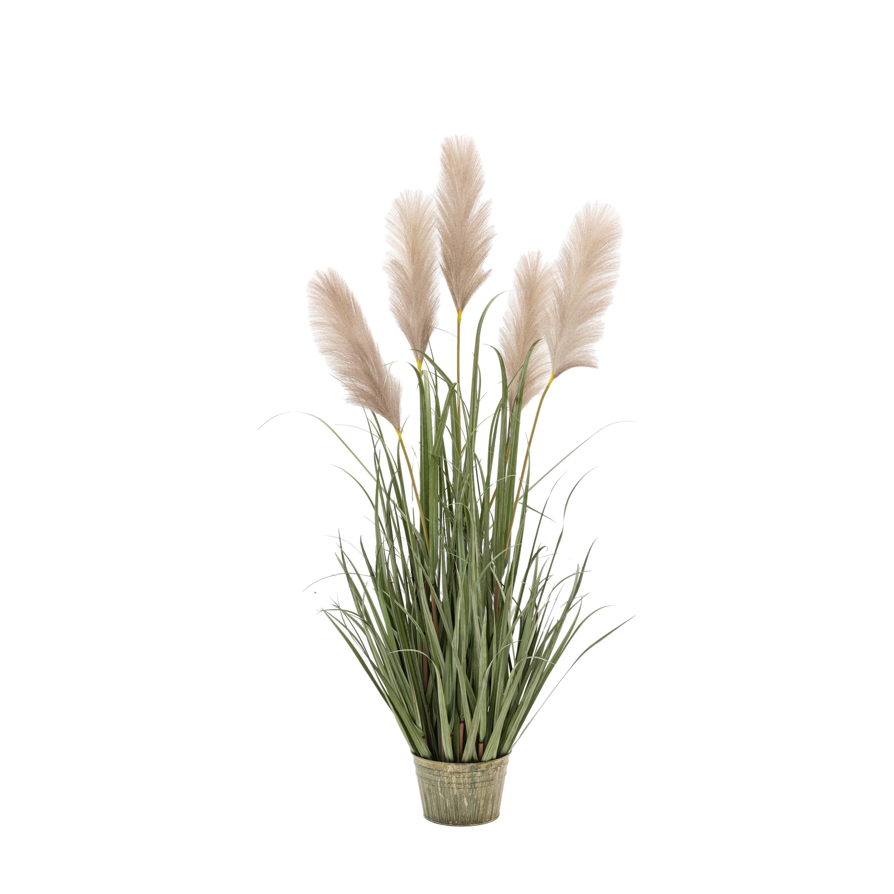 Potted Grass with Pampas Seed Heads (5pk) by Gallery Living | Style Our Home
