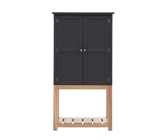 Manor Meteor 2 Door Cupboard by Hudson Living | Style Our Home 